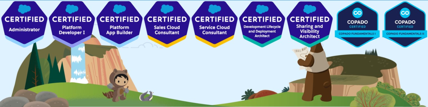 Salesforce certified professionals
